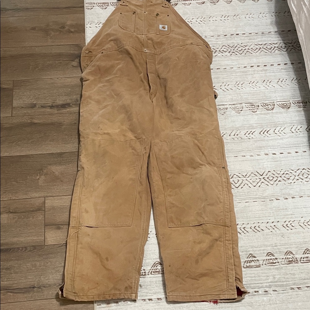 Carhartt Men's Insulated Bibs Pants